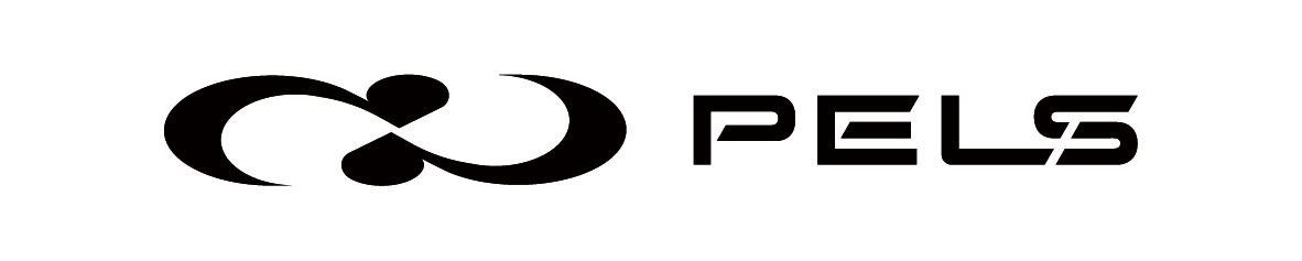 プルエッジリンクス　警備